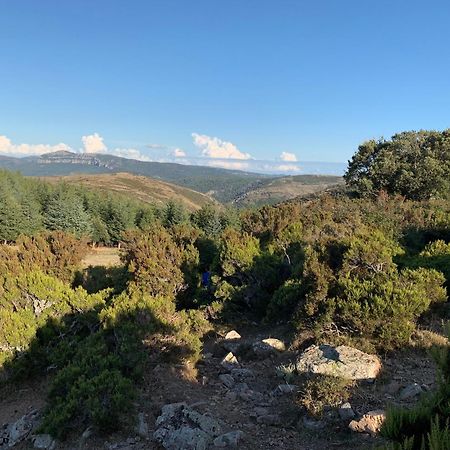 B&B Helga'S Agricampeggio Seùlo Dış mekan fotoğraf