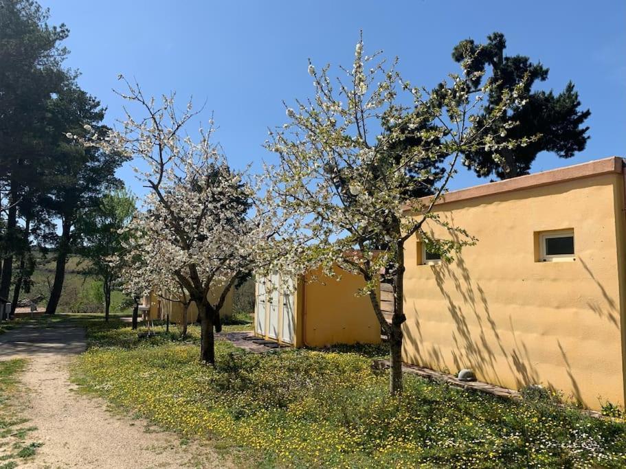 B&B Helga'S Agricampeggio Seùlo Dış mekan fotoğraf