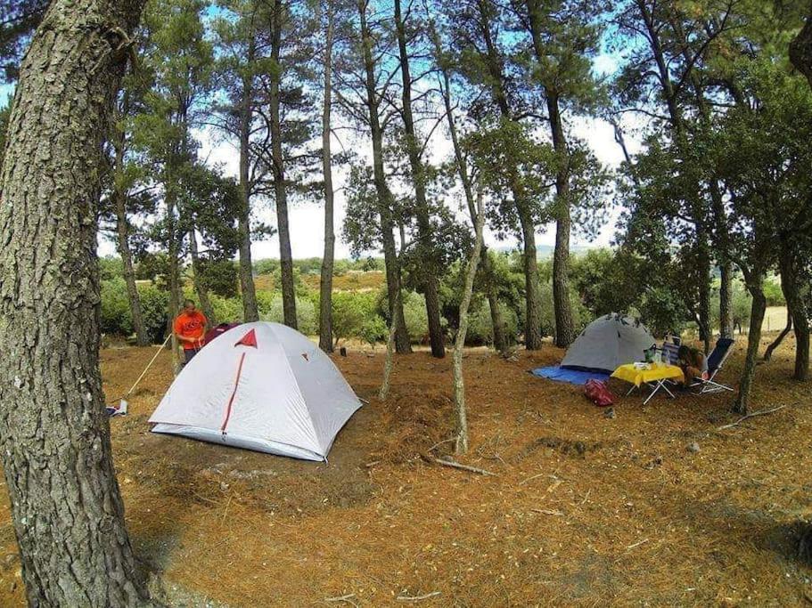 B&B Helga'S Agricampeggio Seùlo Dış mekan fotoğraf