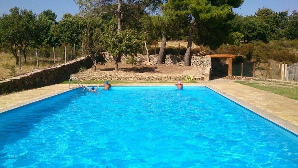B&B Helga'S Agricampeggio Seùlo Dış mekan fotoğraf