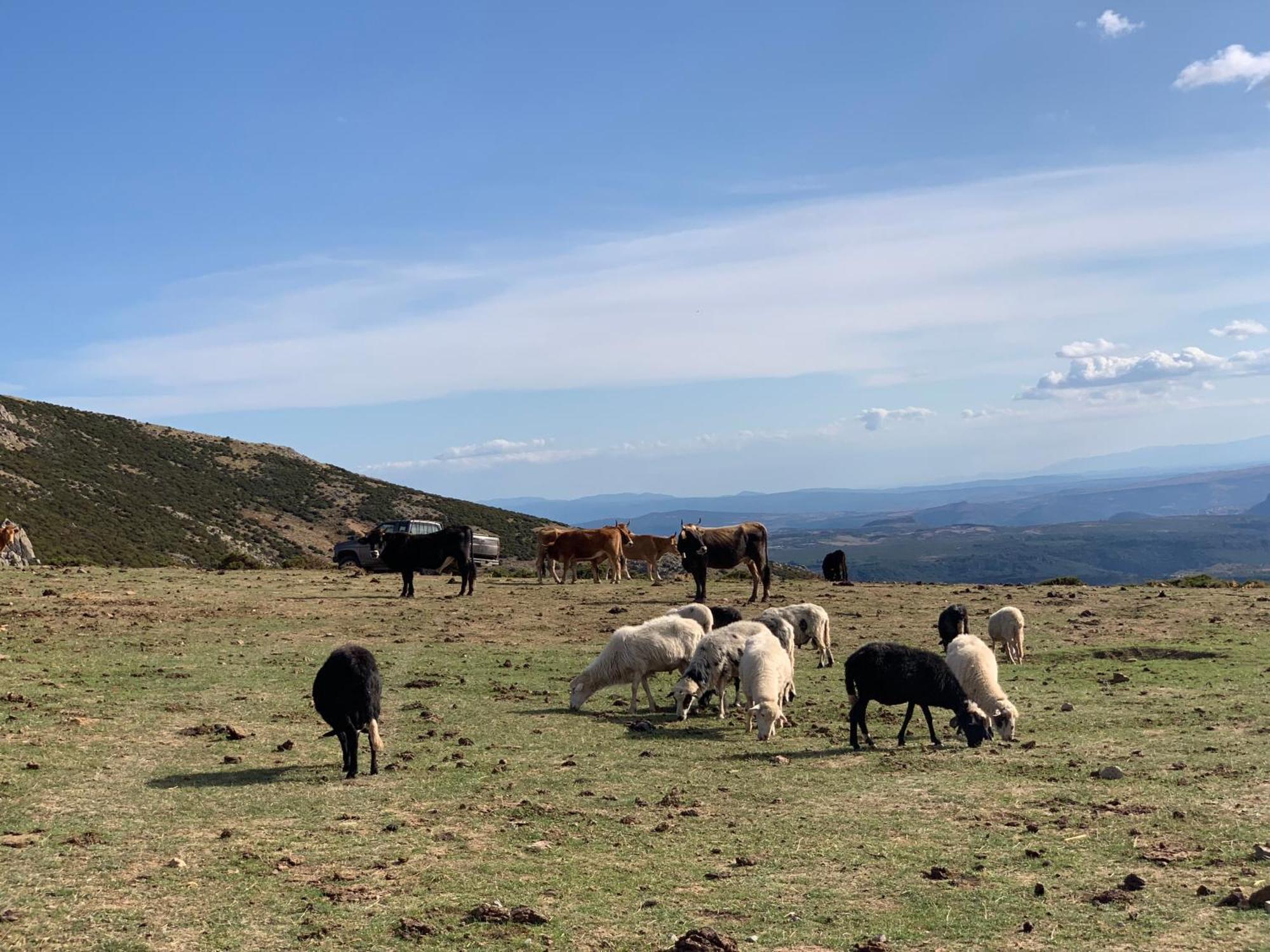 B&B Helga'S Agricampeggio Seùlo Dış mekan fotoğraf