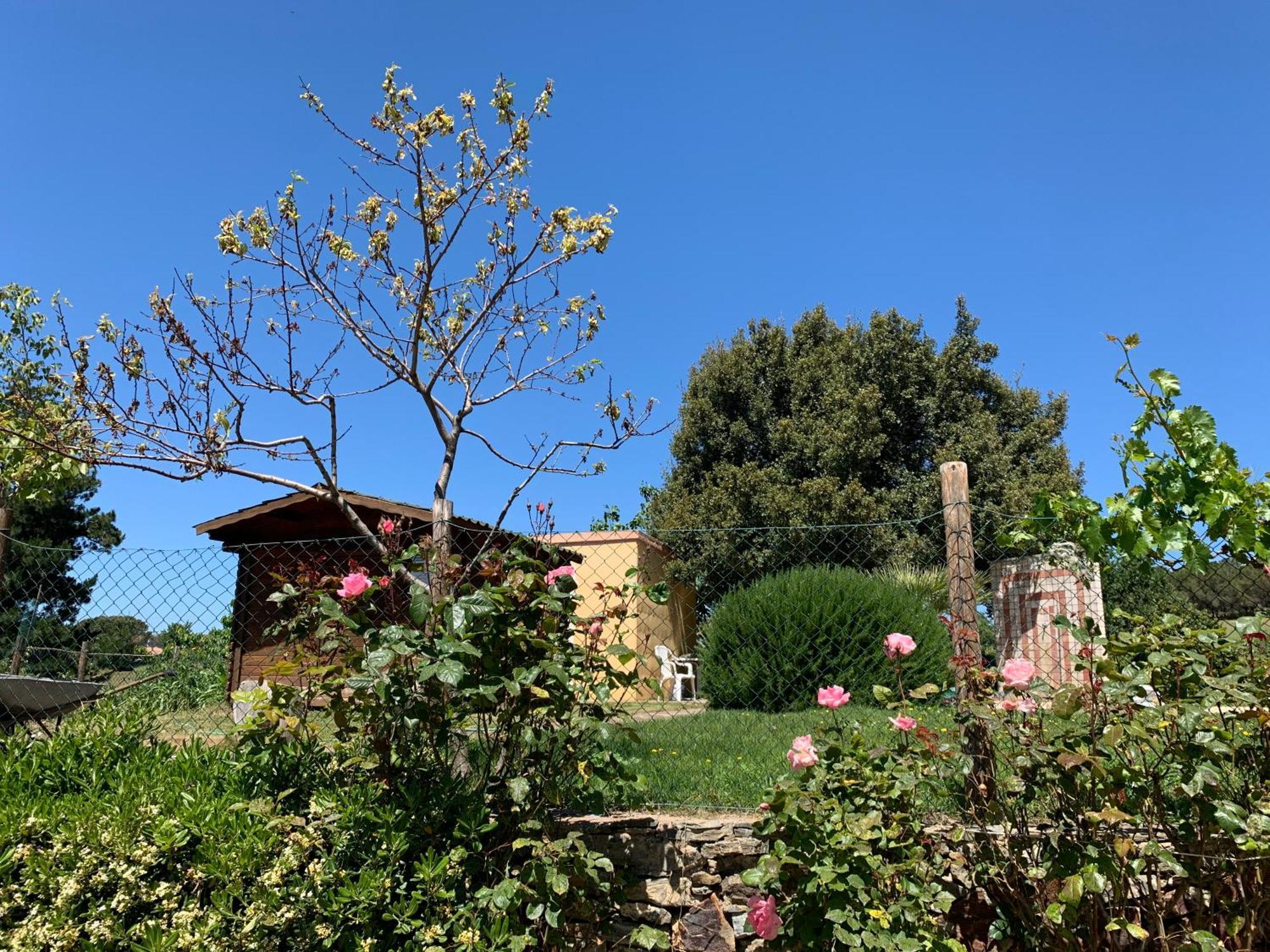 B&B Helga'S Agricampeggio Seùlo Dış mekan fotoğraf