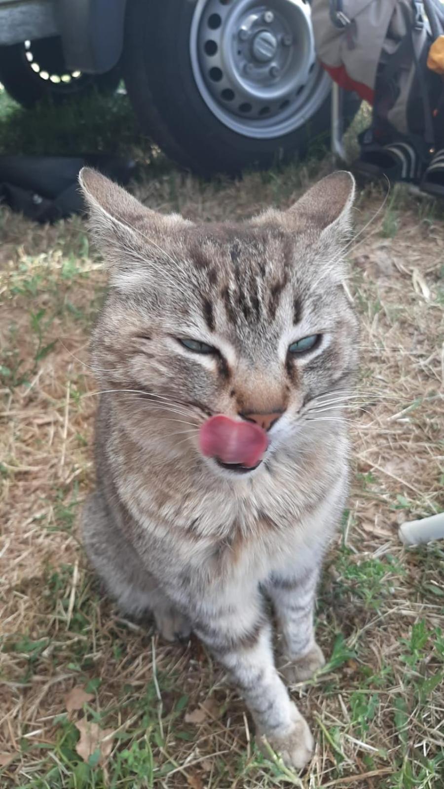 B&B Helga'S Agricampeggio Seùlo Dış mekan fotoğraf
